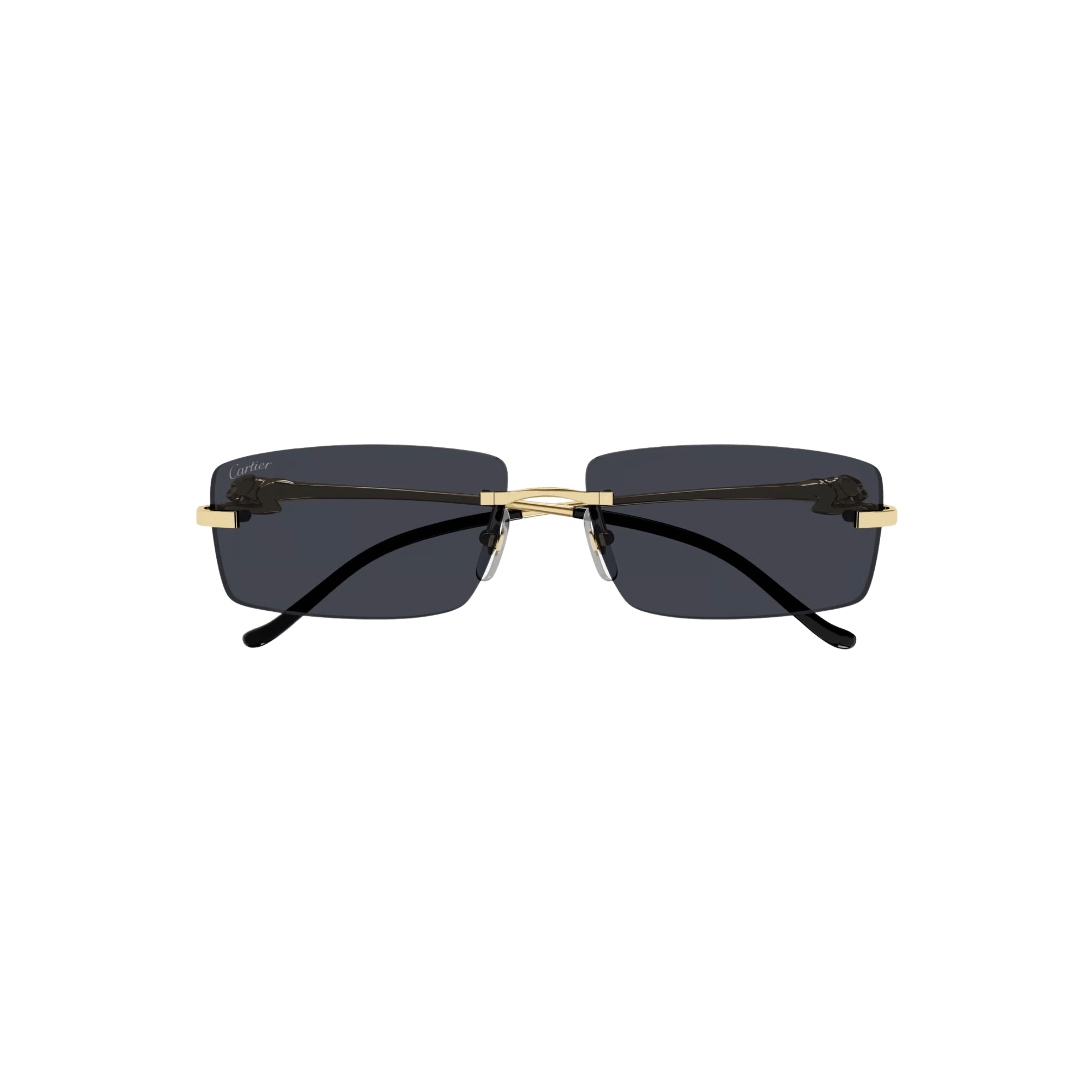 Cartier CT0430S Sunglasses