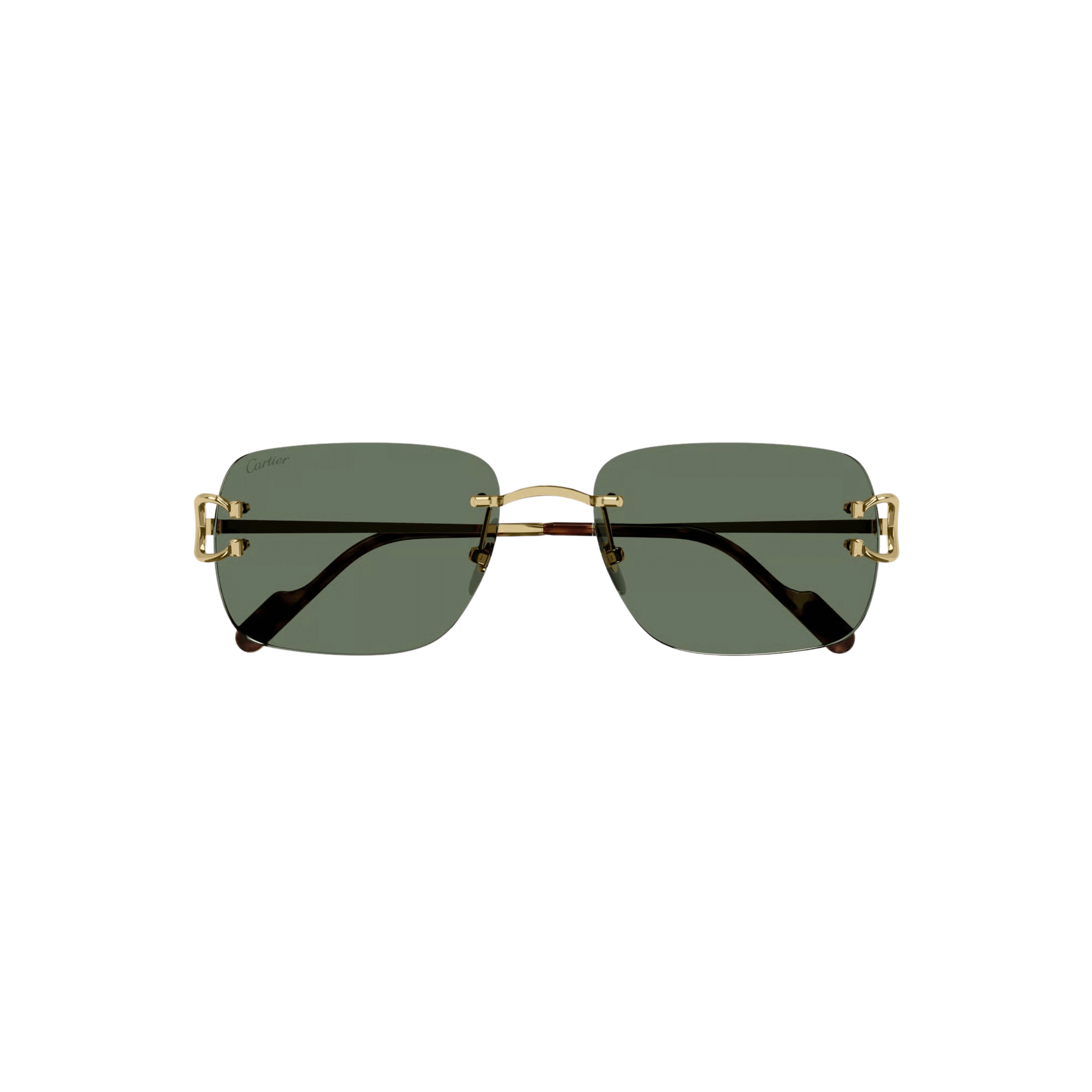 Cartier CT0330S Sunglasses