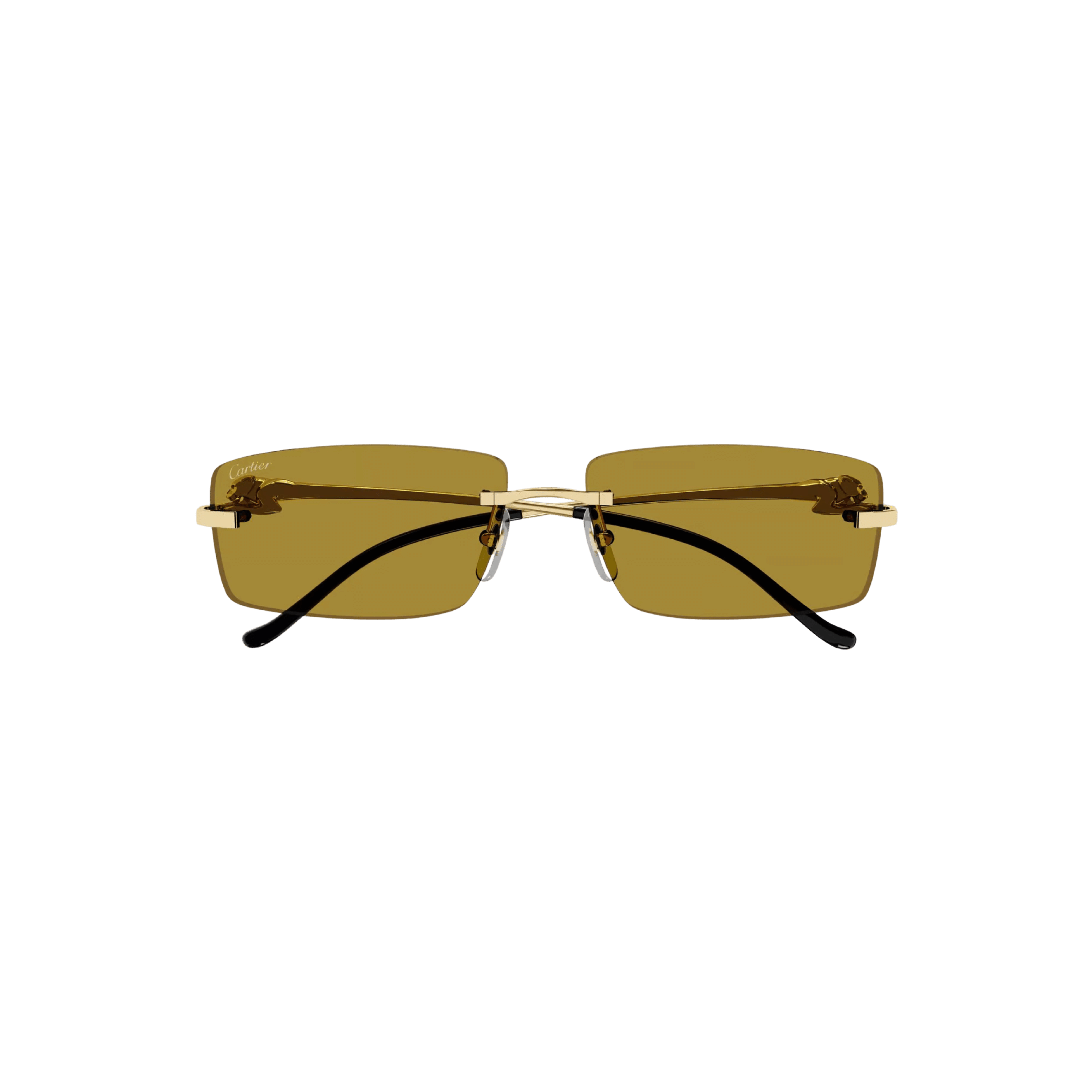 Cartier CT0430S Sunglasses
