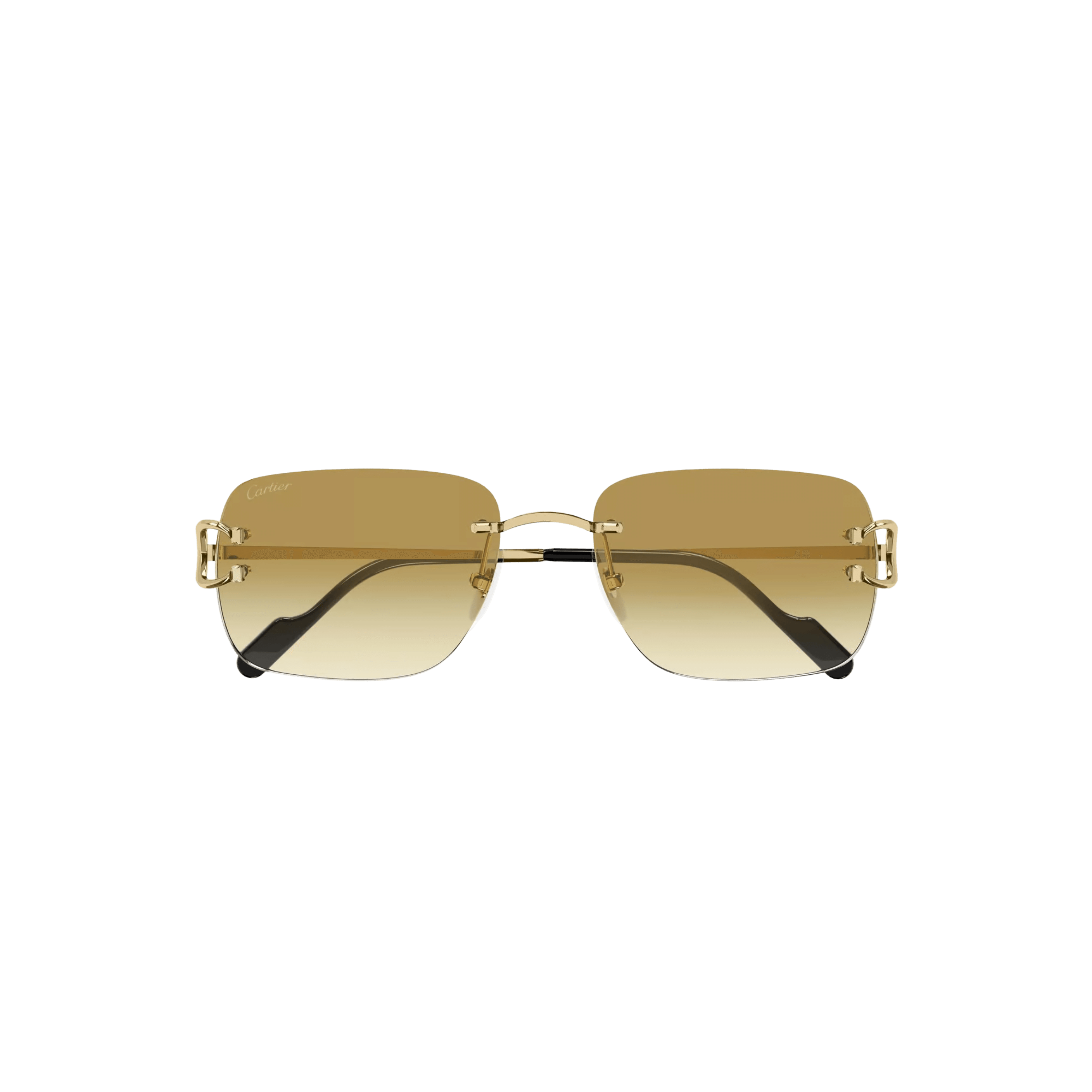 Cartier CT0330S Sunglasses
