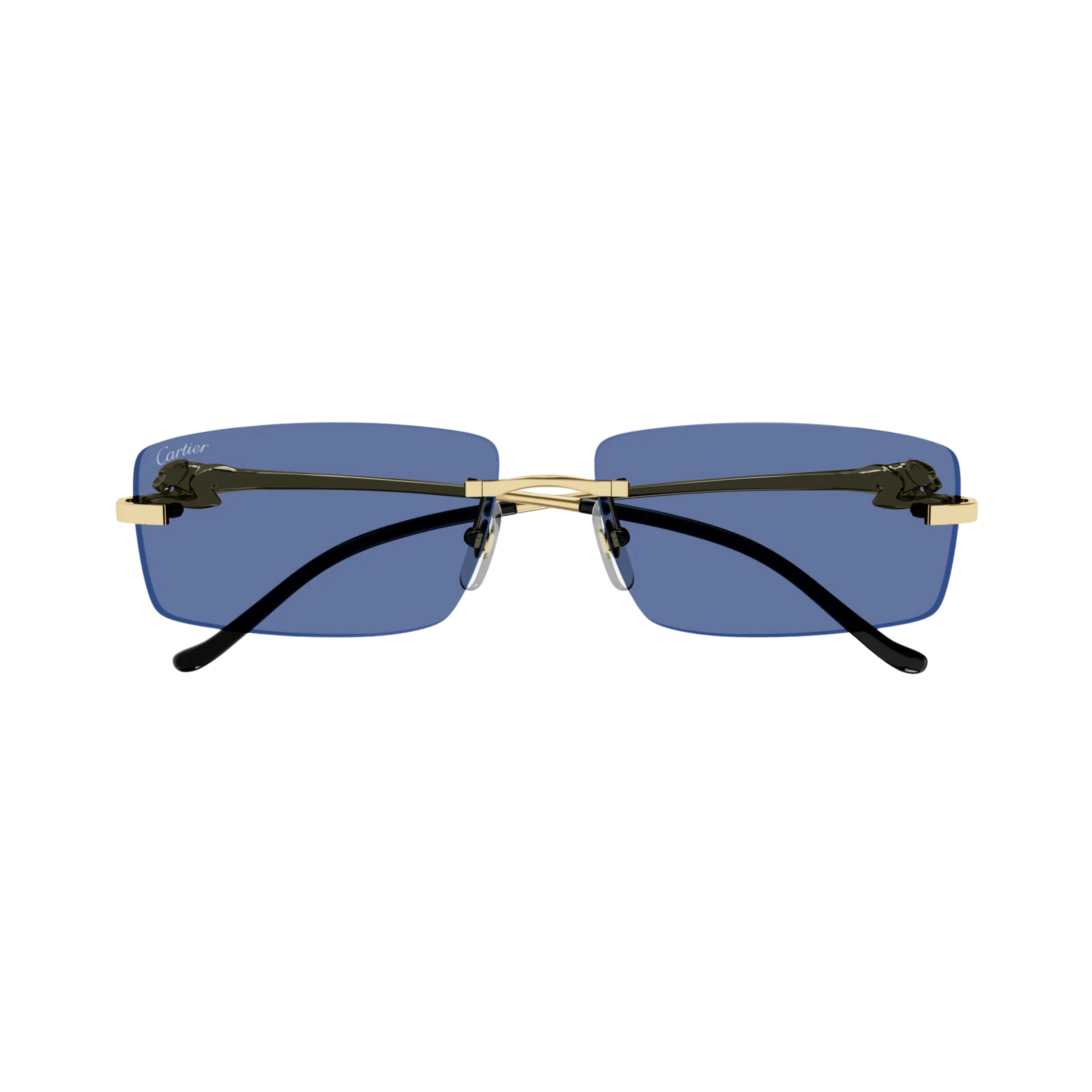 Cartier CT0430S Sunglasses