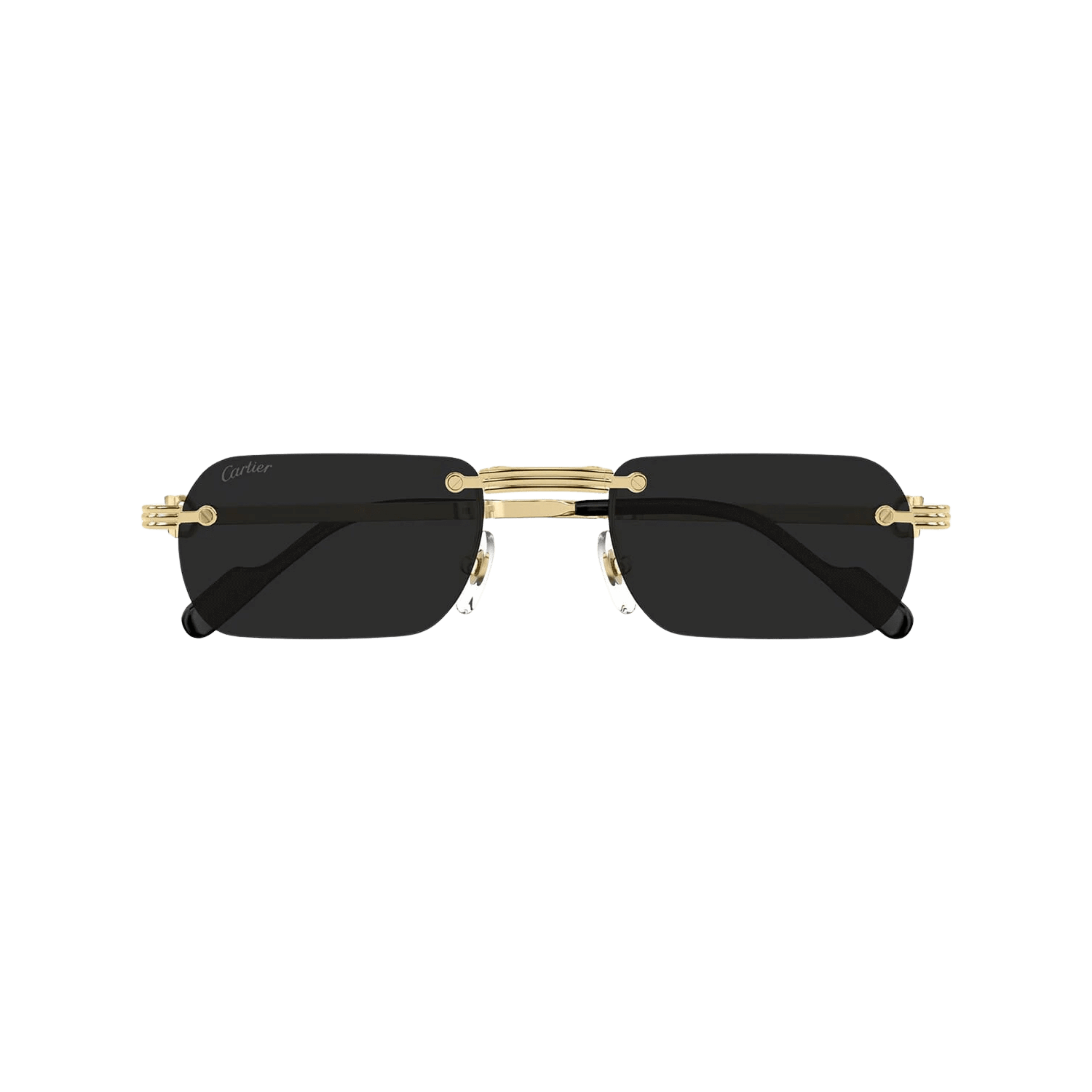 Cartier CT0499S Sunglasses